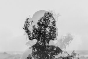 ancestry investigator, professional genealogy services, a woman's face and tree's reflection