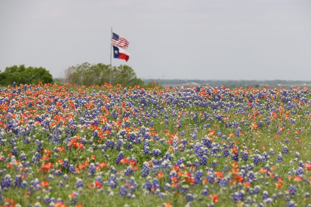 ancestry investigator, professional genealogy services, texas,vflags, texas flag, us flag