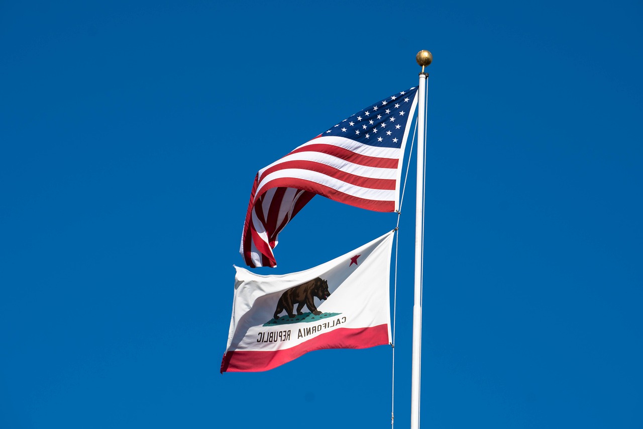 ancestry investigator, professional genealogy services, California flag, United States Flag,